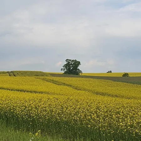 Auszeit Am Rosengarten, Zentrumsnah Lejlighed