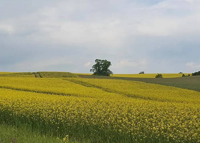 Auszeit Am Rosengarten, Zentrumsnah Apartman